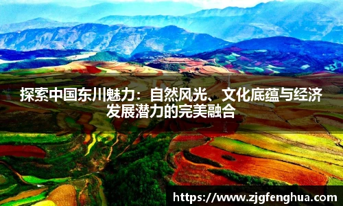 球速体育平台登录入口