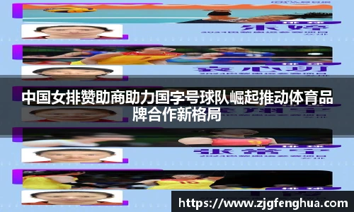 球速体育平台登录入口