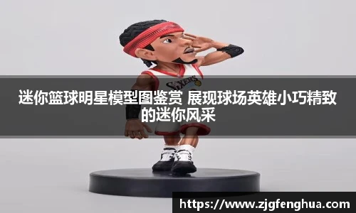球速体育
