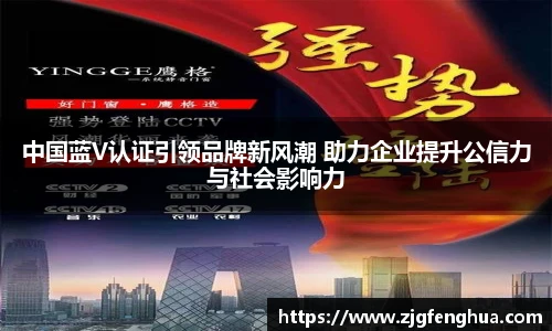 球速体育官方