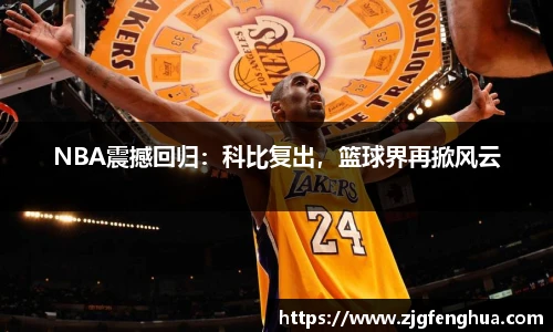 球速体育平台登录入口