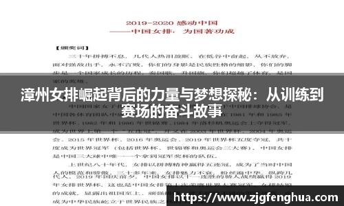 球速体育官方
