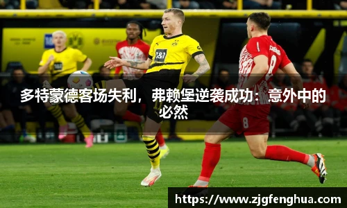 球速体育