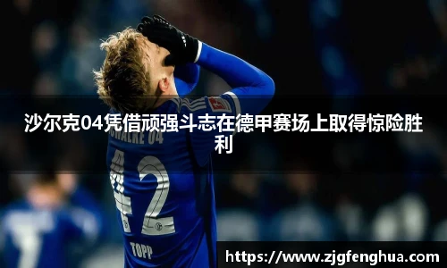 球速体育官方