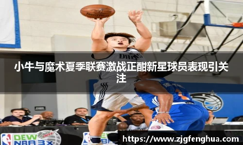 球速体育官方