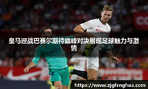 智博19有限公司