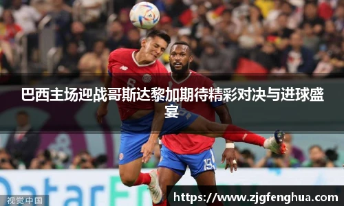 智博19有限公司