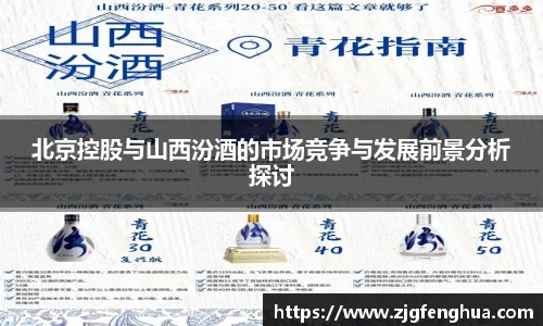 北京控股与山西汾酒的市场竞争与发展前景分析探讨