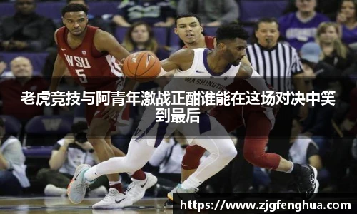 老虎竞技与阿青年激战正酣谁能在这场对决中笑到最后